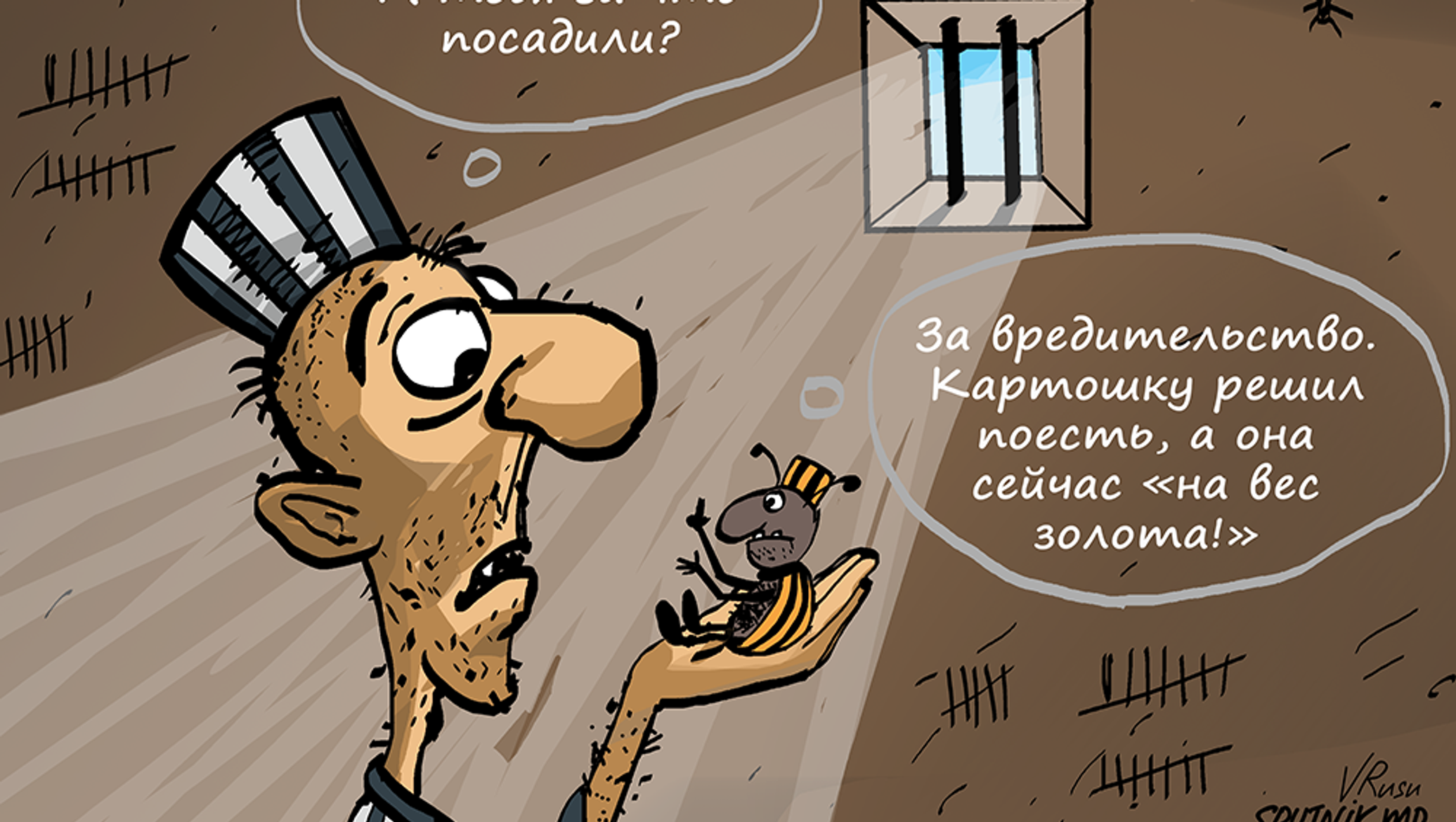 Веселые приключения колорадского жука в Молдове - 19.05.2019, Sputnik Молдова