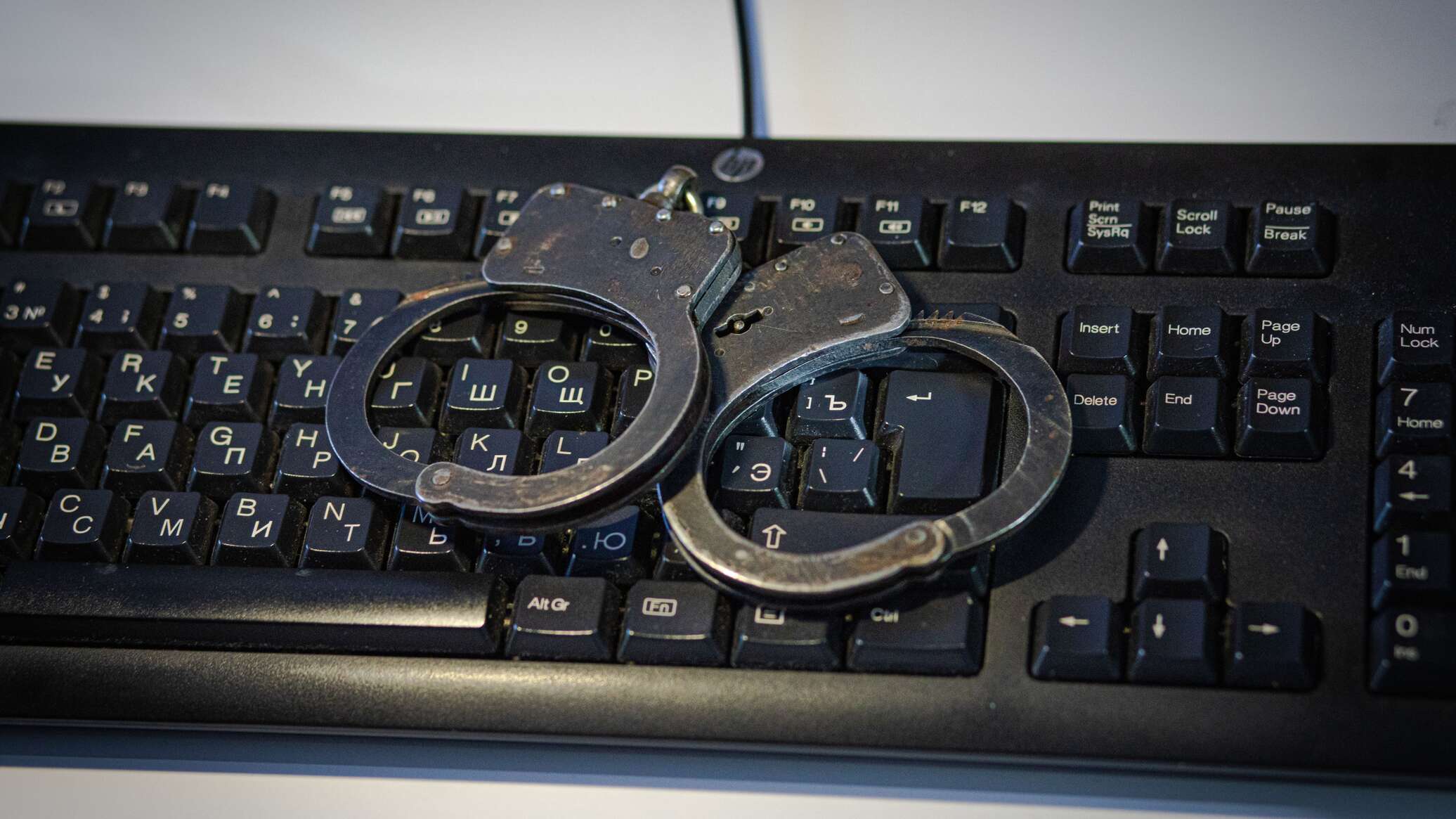 Задержаны интернет