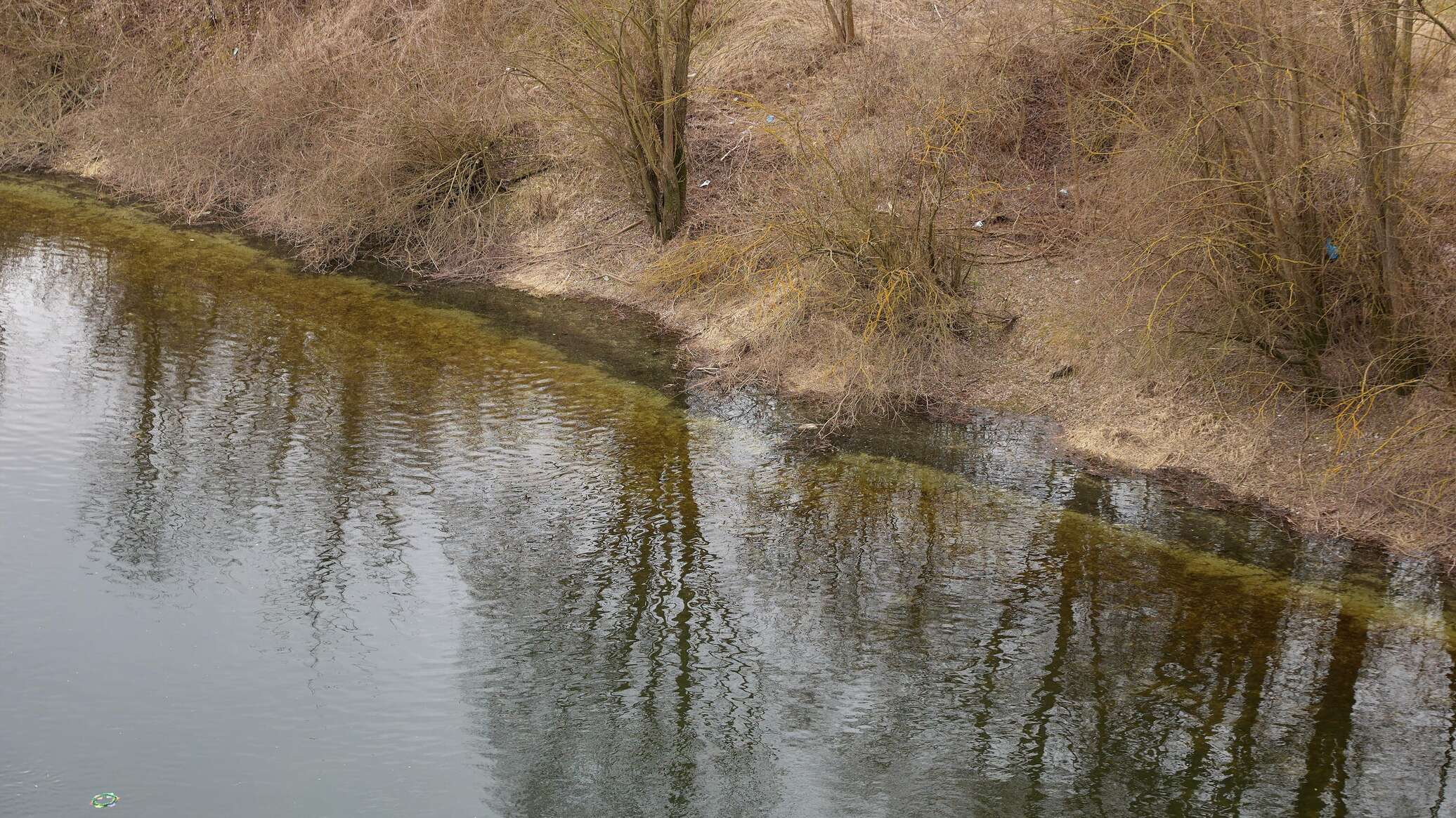 Источник загрязнения реки Днестр нефтепродуктами остановлен 