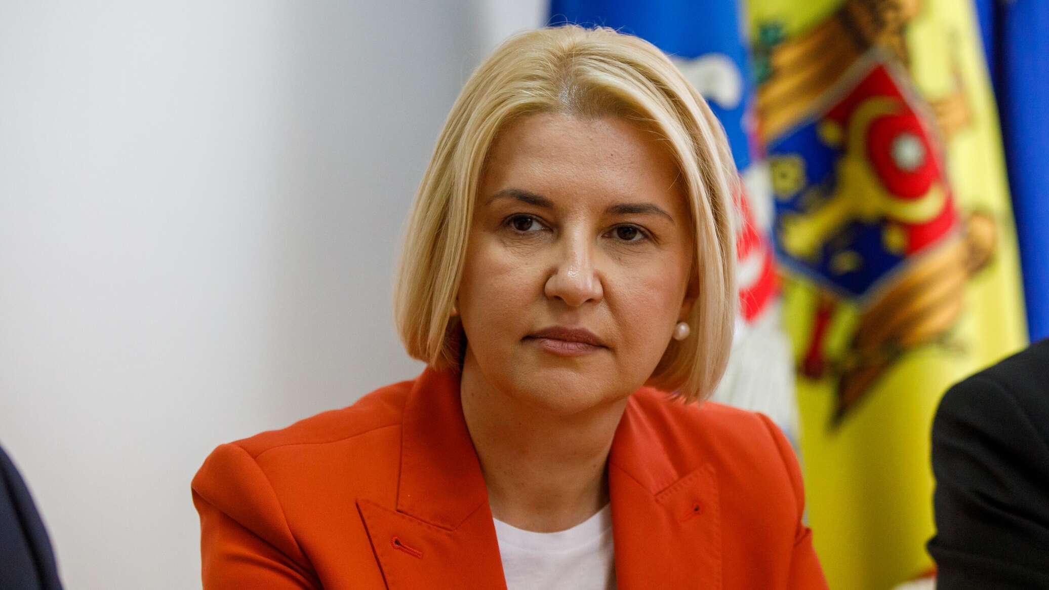 Влах просит о  международной поддержке после требования о запрете ее партии 