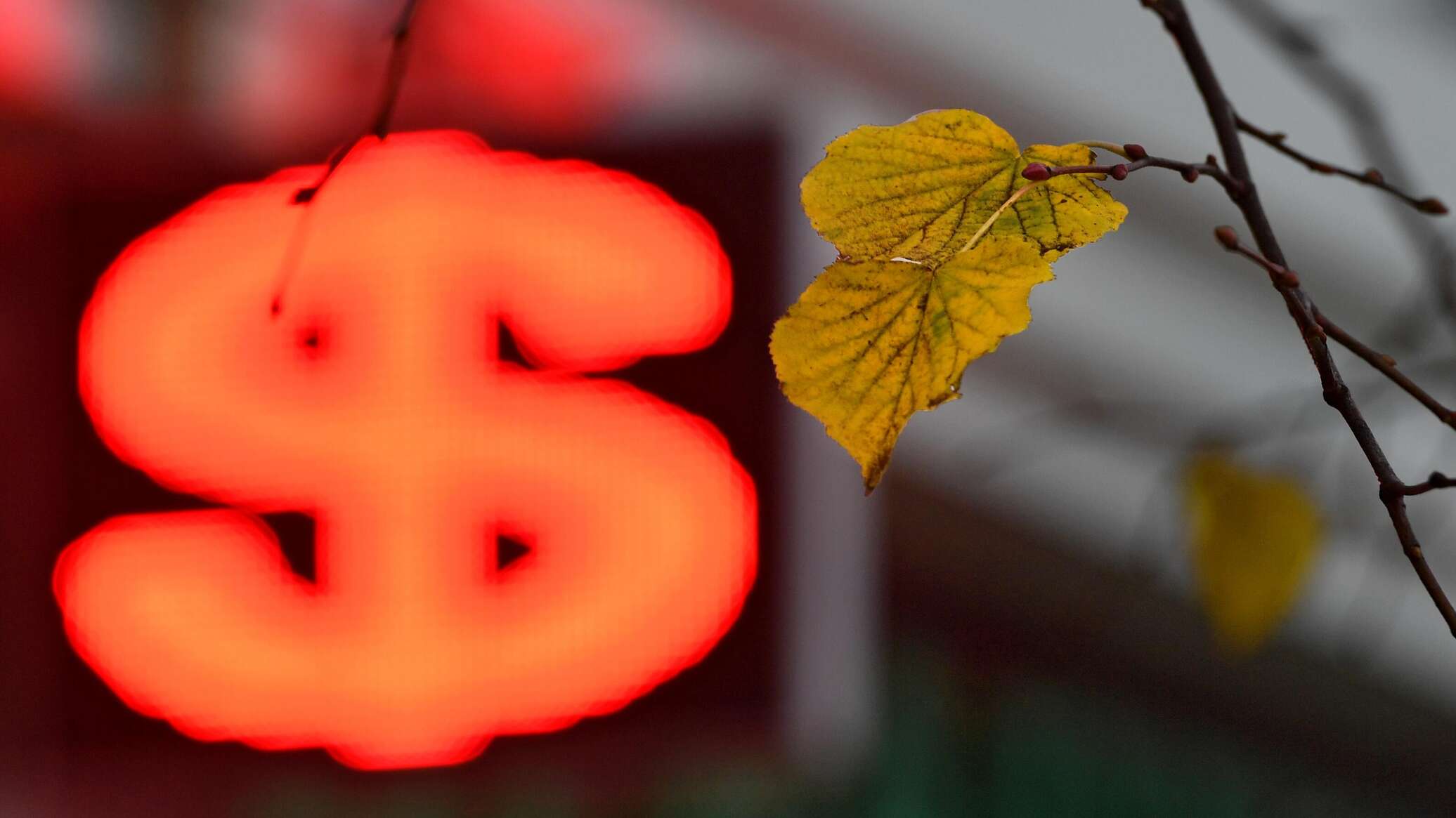 НАРЭ: в Молдове действуют мошеннические платформы по продвижению "инвестиций" в энергетику 