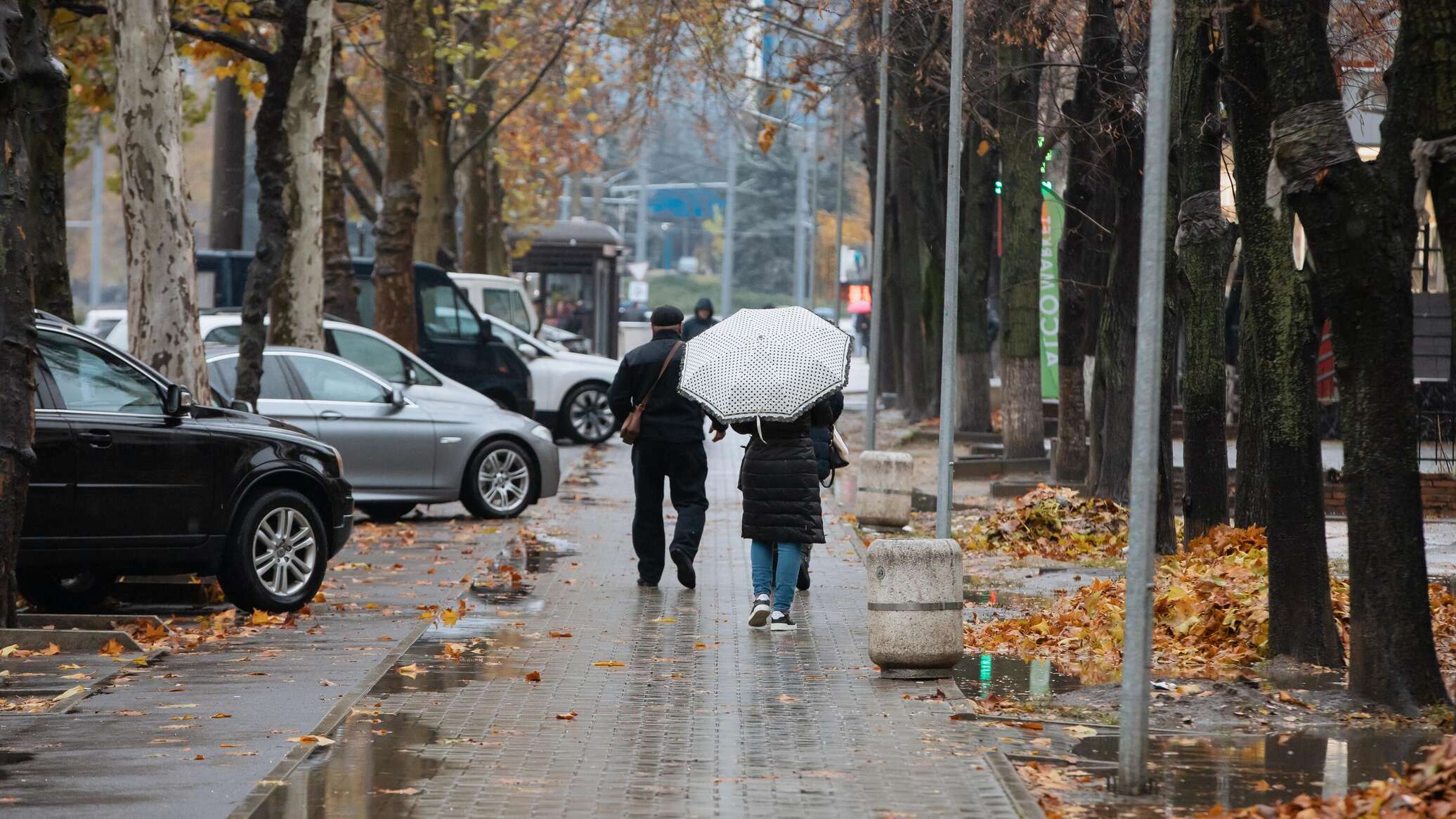 Основные бытовые трудности жителей Молдовы: лидируют проблемы со зрением и подвижностью 