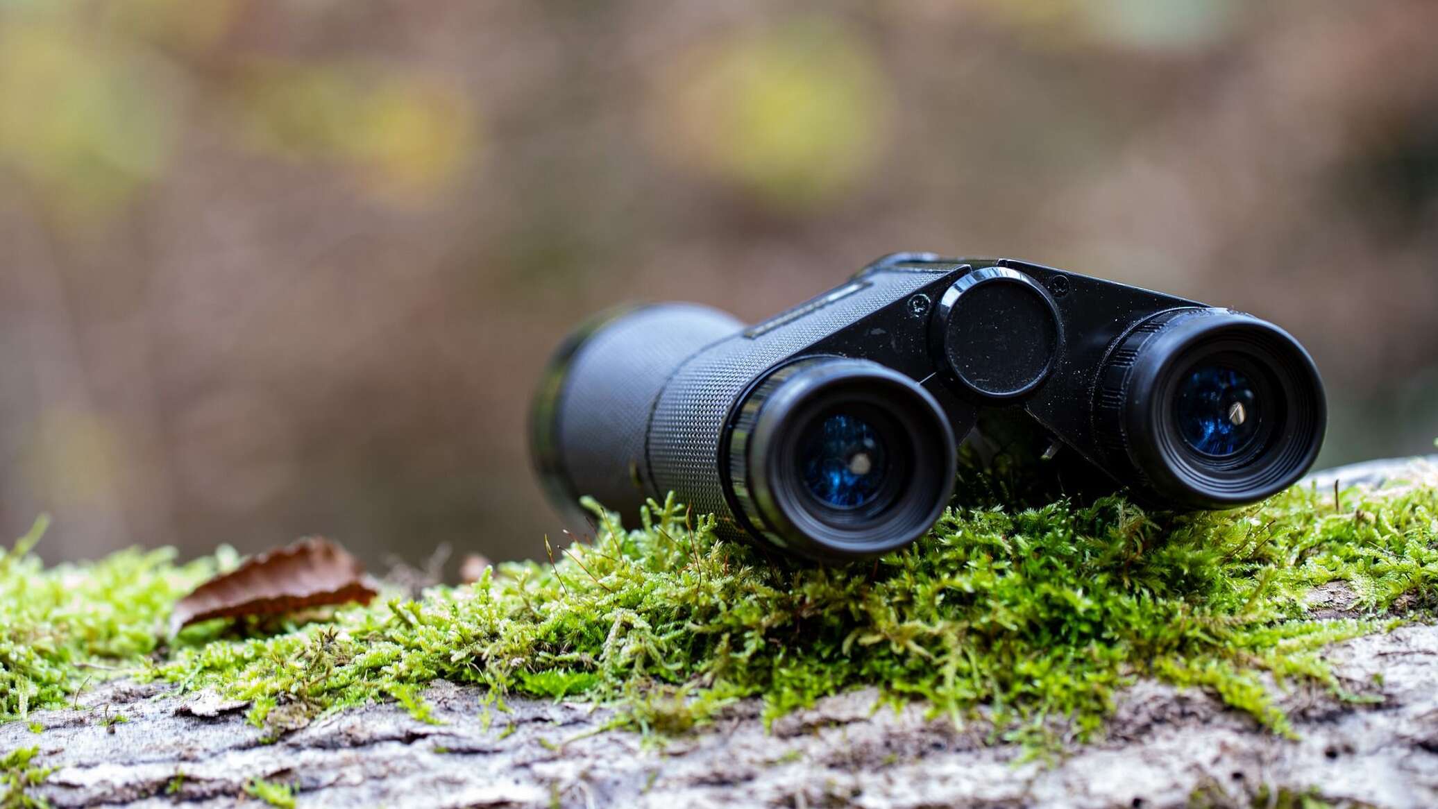 Депутаты: чтобы пресечь контрабанду оружия и наркотиков, нужны сканеры и контроль посылок 