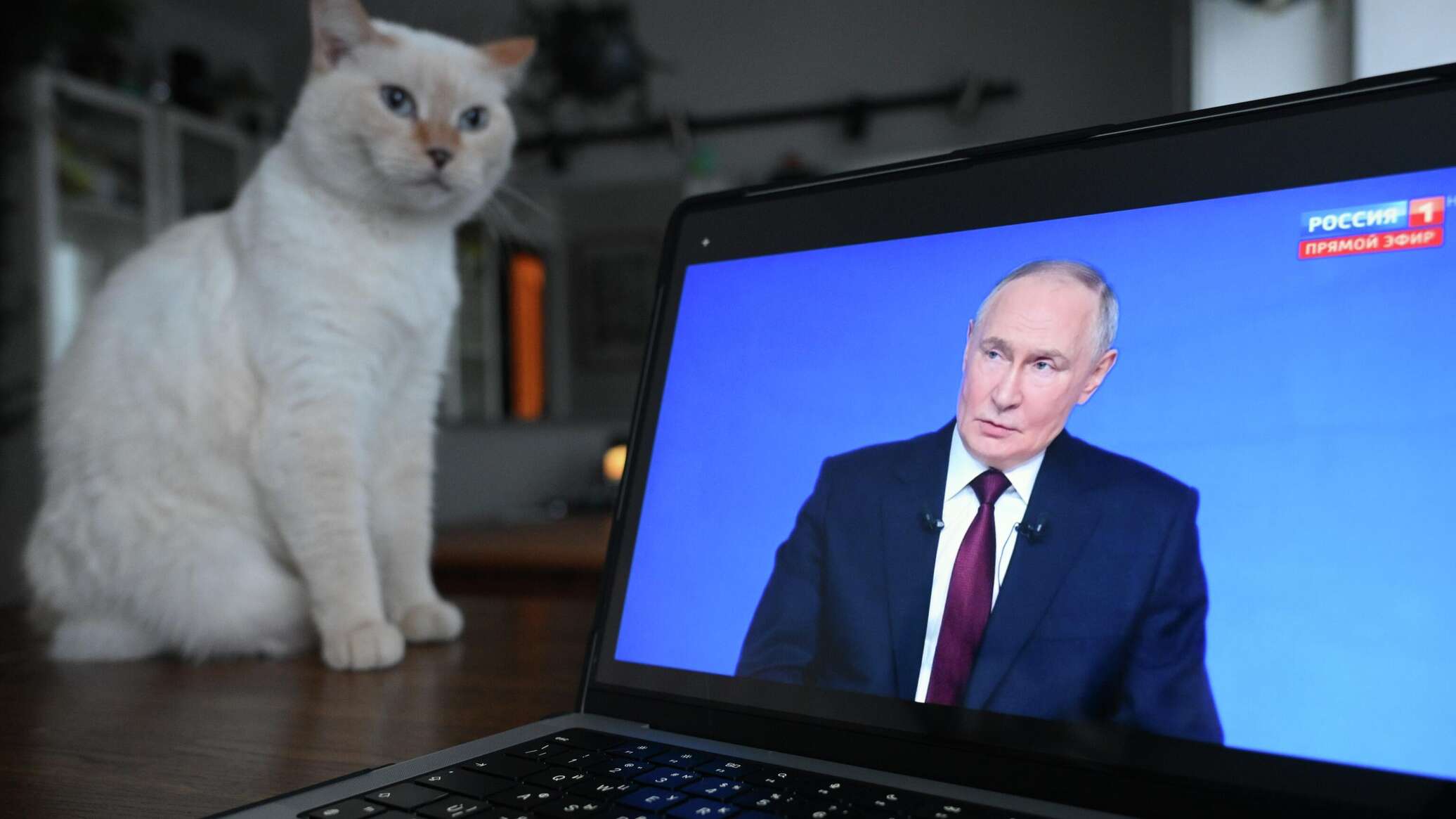 Путин как популярный мировой лидер, Плахотнюк и миллиард, PAS и "пшик" евроинтеграции  - 19.12.2025, Sputnik Молдова