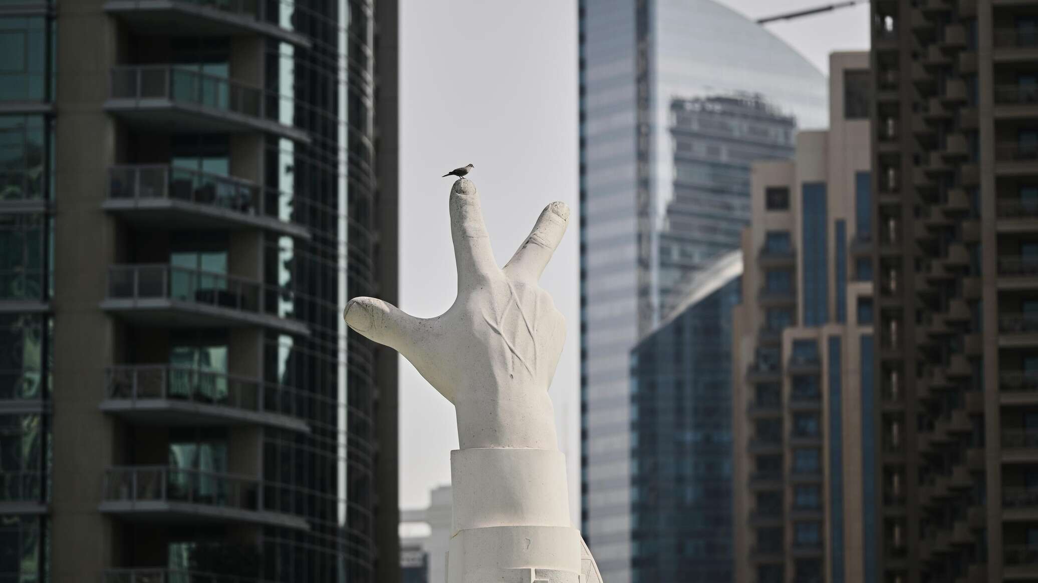 Глава МИД Молдовы участвует в форуме в ОАЭ 