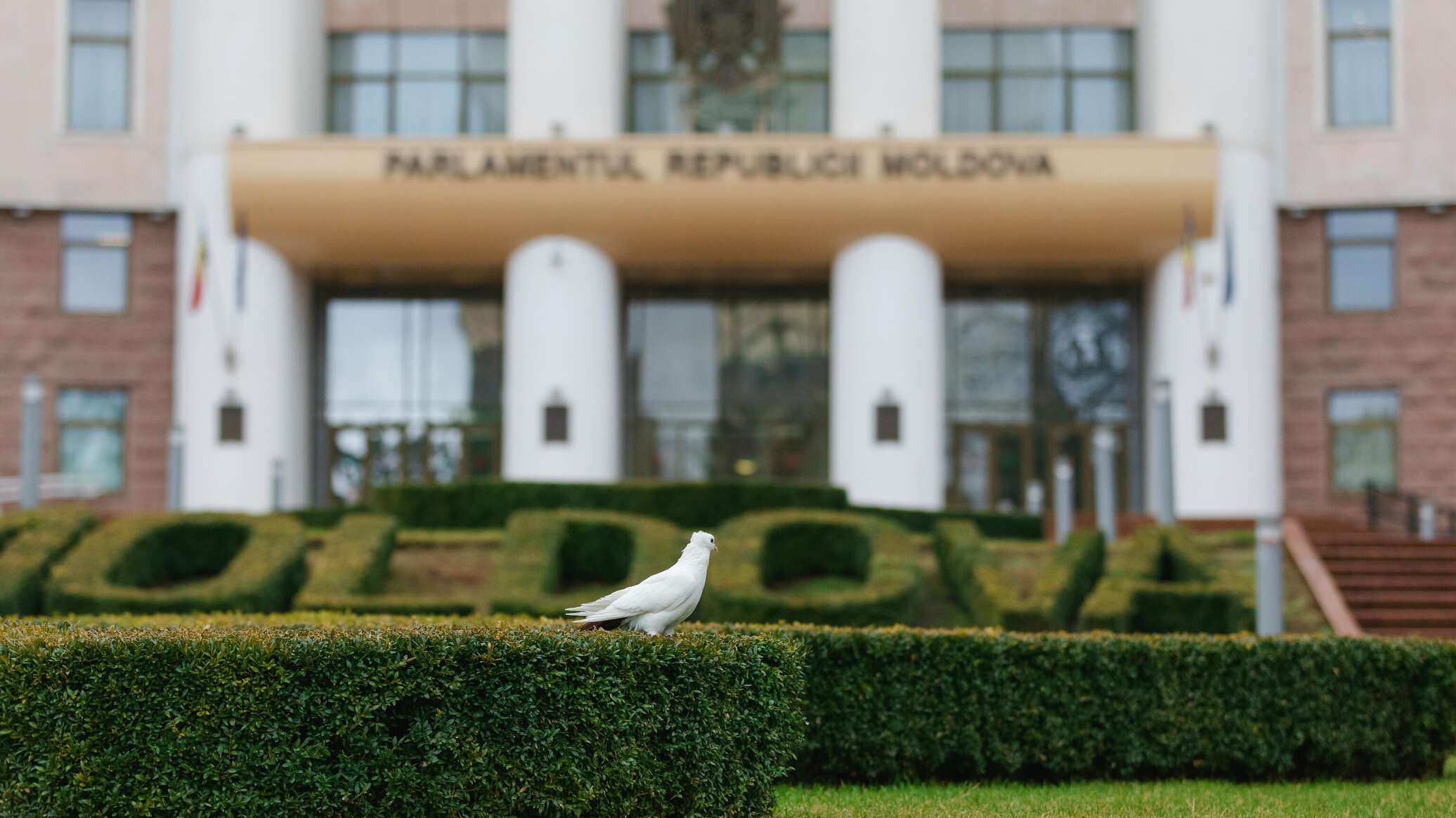 На последнем в 2025 году заседании парламента депутаты обсудят госбюджет во втором чтении 