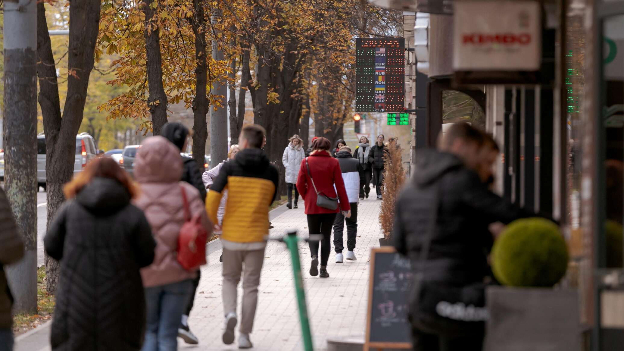 В Молдове не хватает специалистов в области обороны, социальной сферы, медицины 