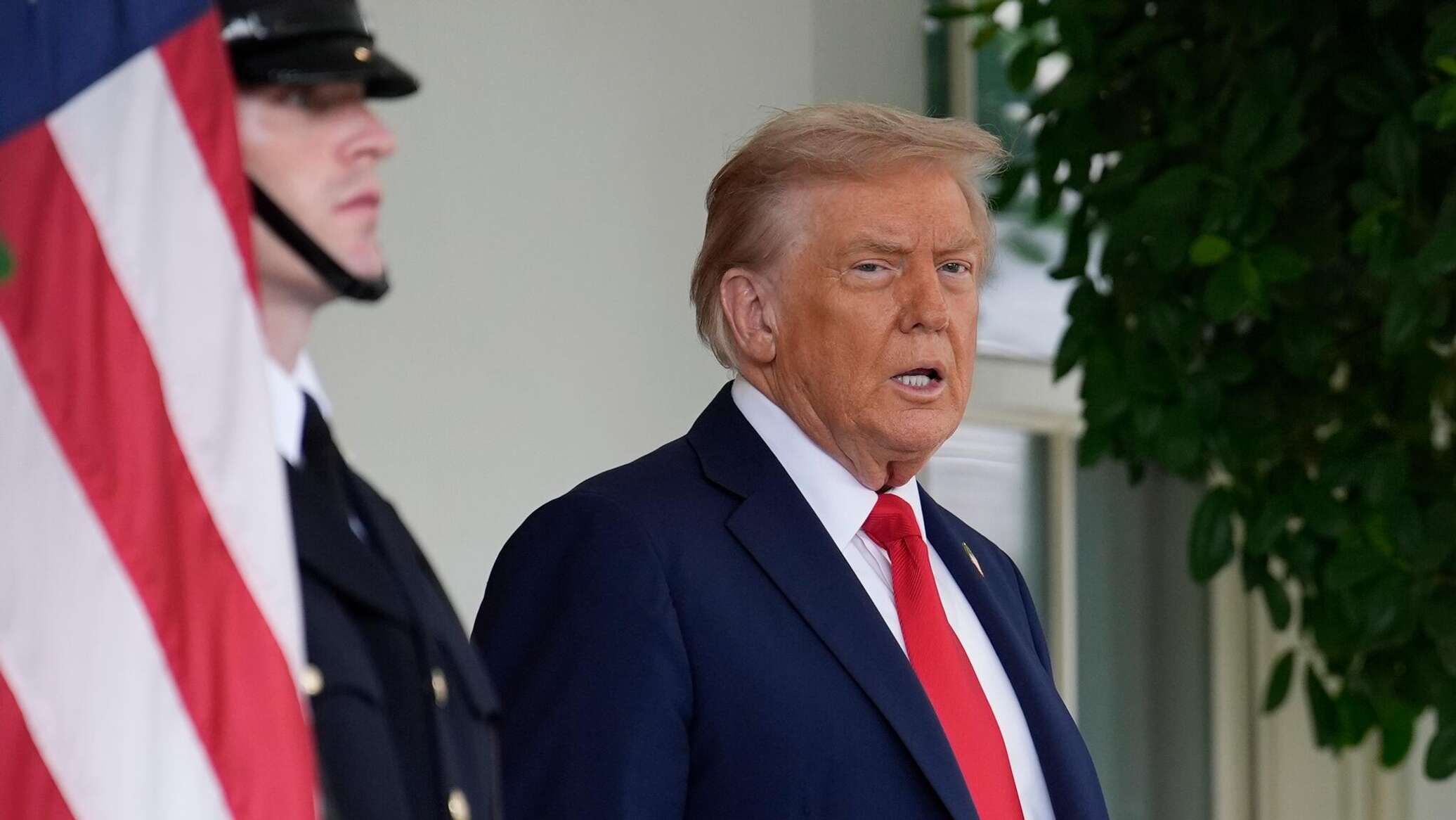 Большая стратегия Трампа и будущее Европы 