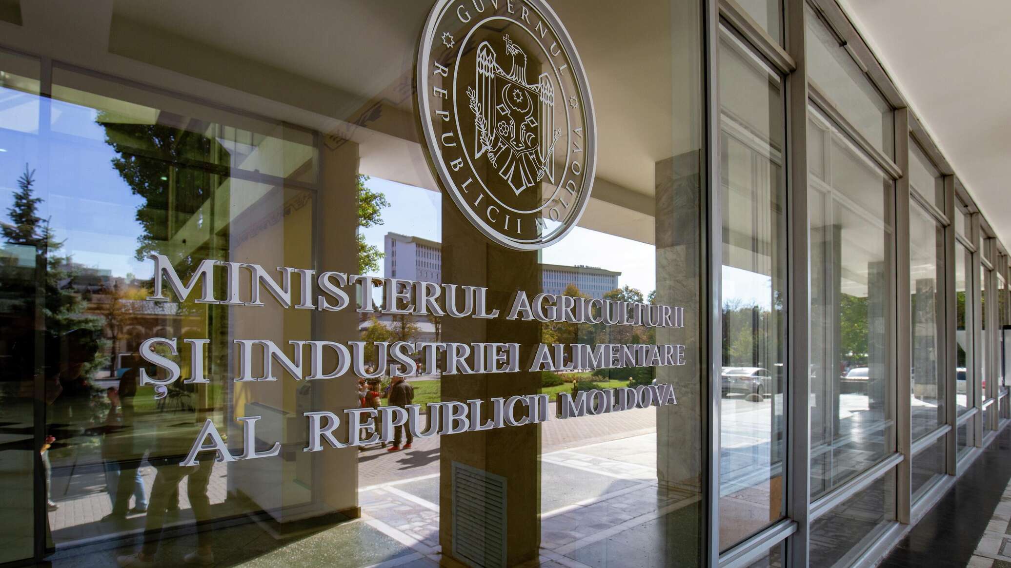 Василий Тарлев: сельским хозяйством Молдовы управляют дилетанты - 12.02.2026, Sputnik Молдова