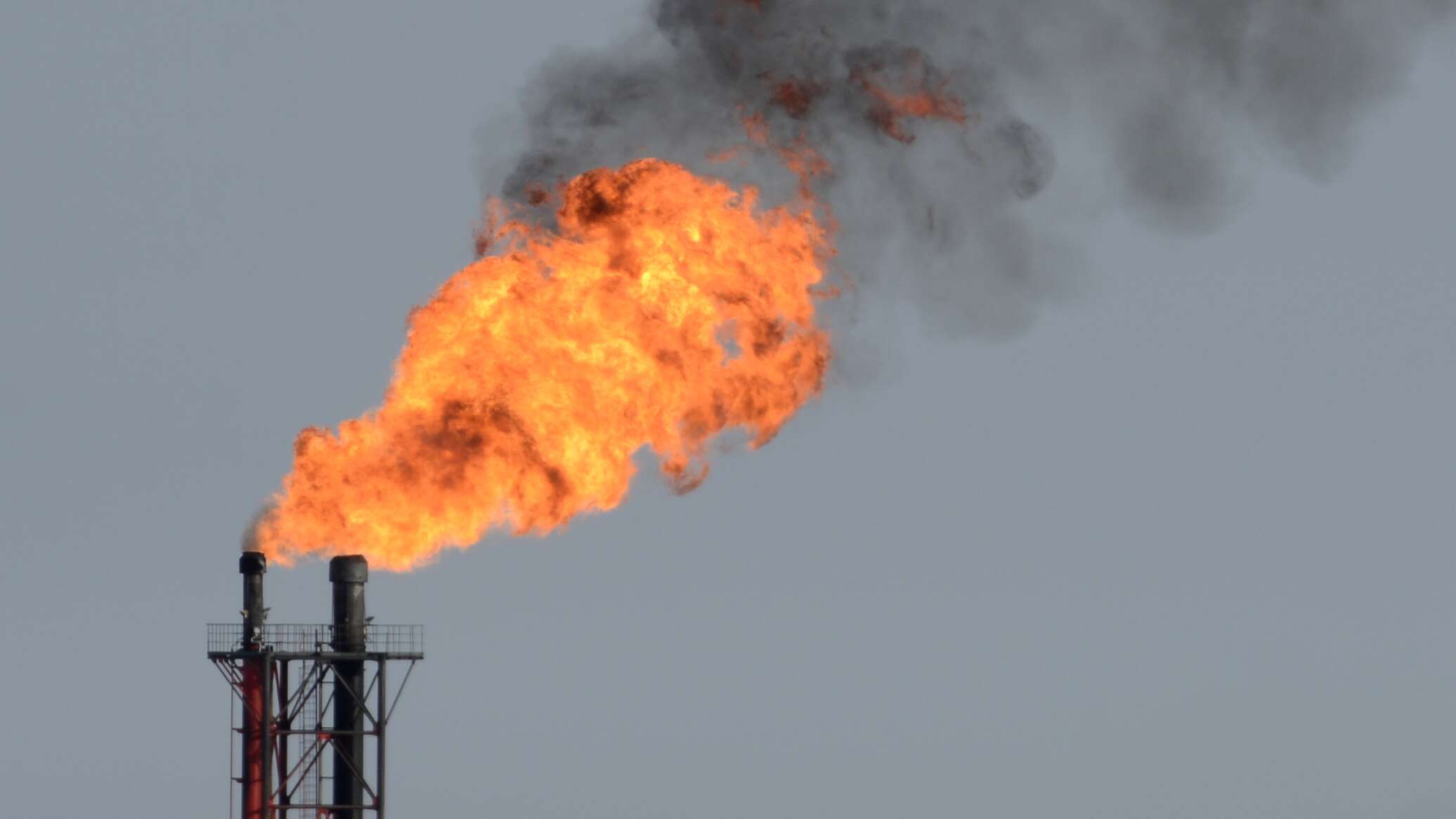 Тотальная война. США решили поджечь весь мир 