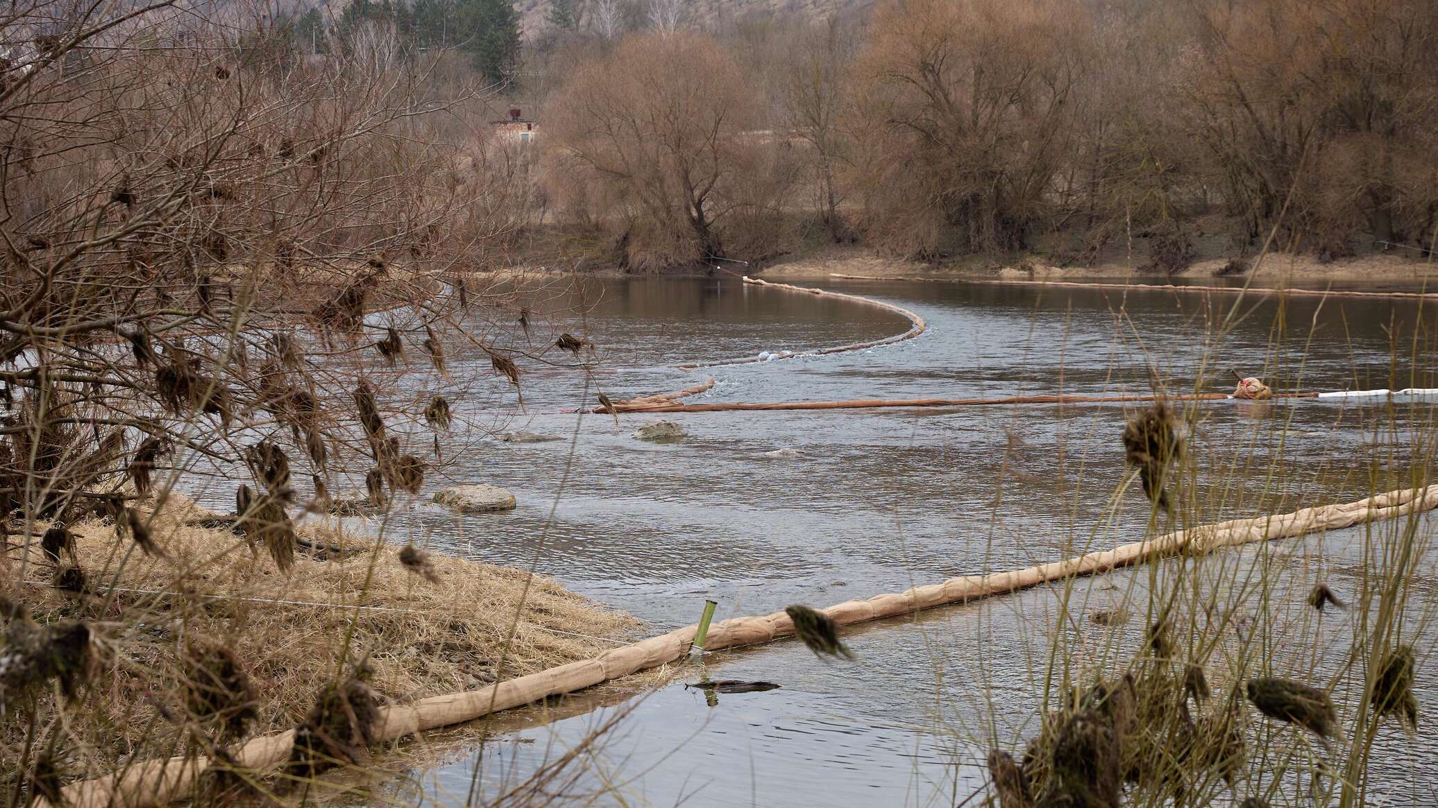 Правительство намерено провести оценку последствий загрязнения Днестра 