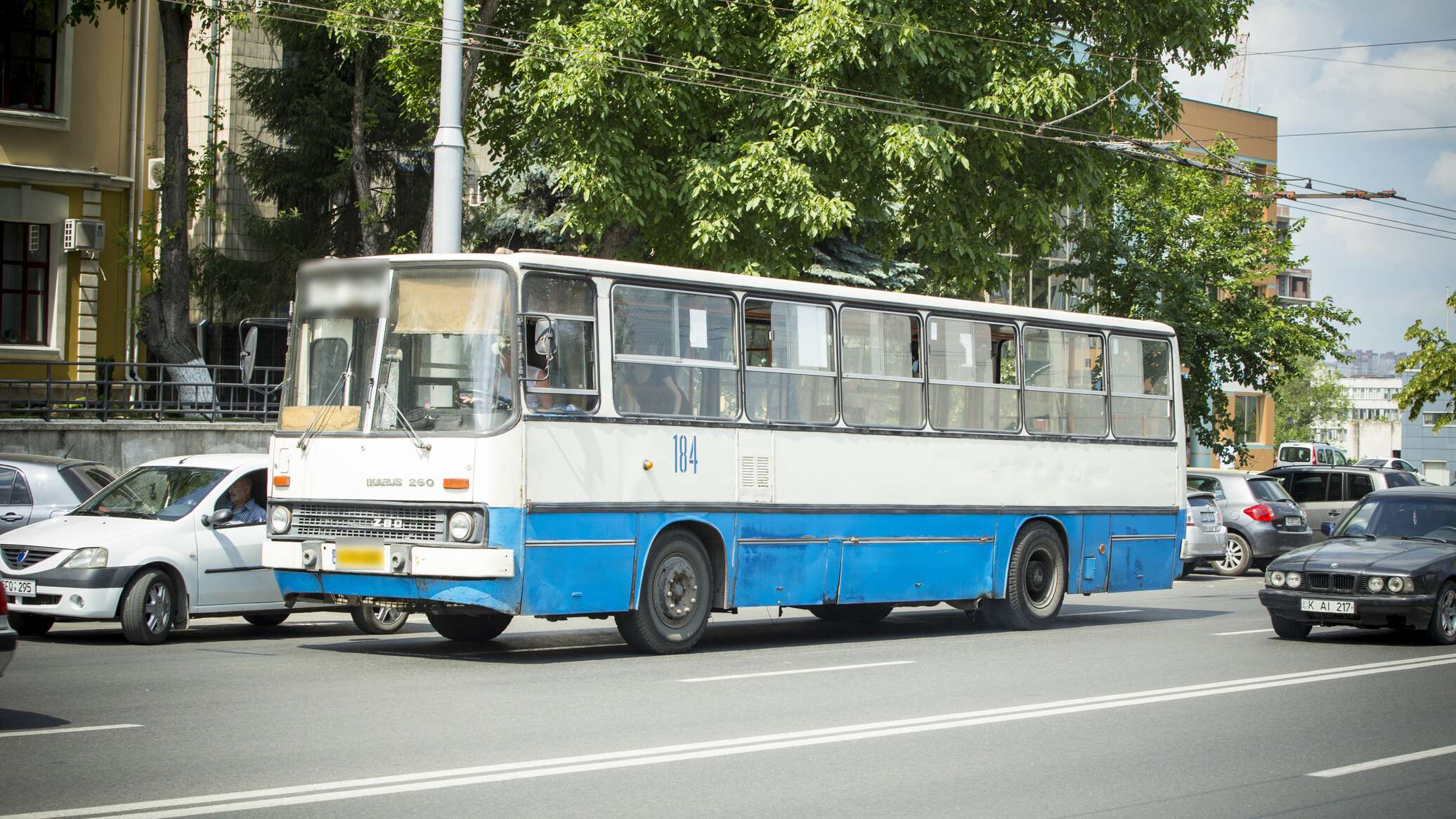 В Кишиневе на Радоницу откроют временные парковки и запустят бесплатный транспорт 