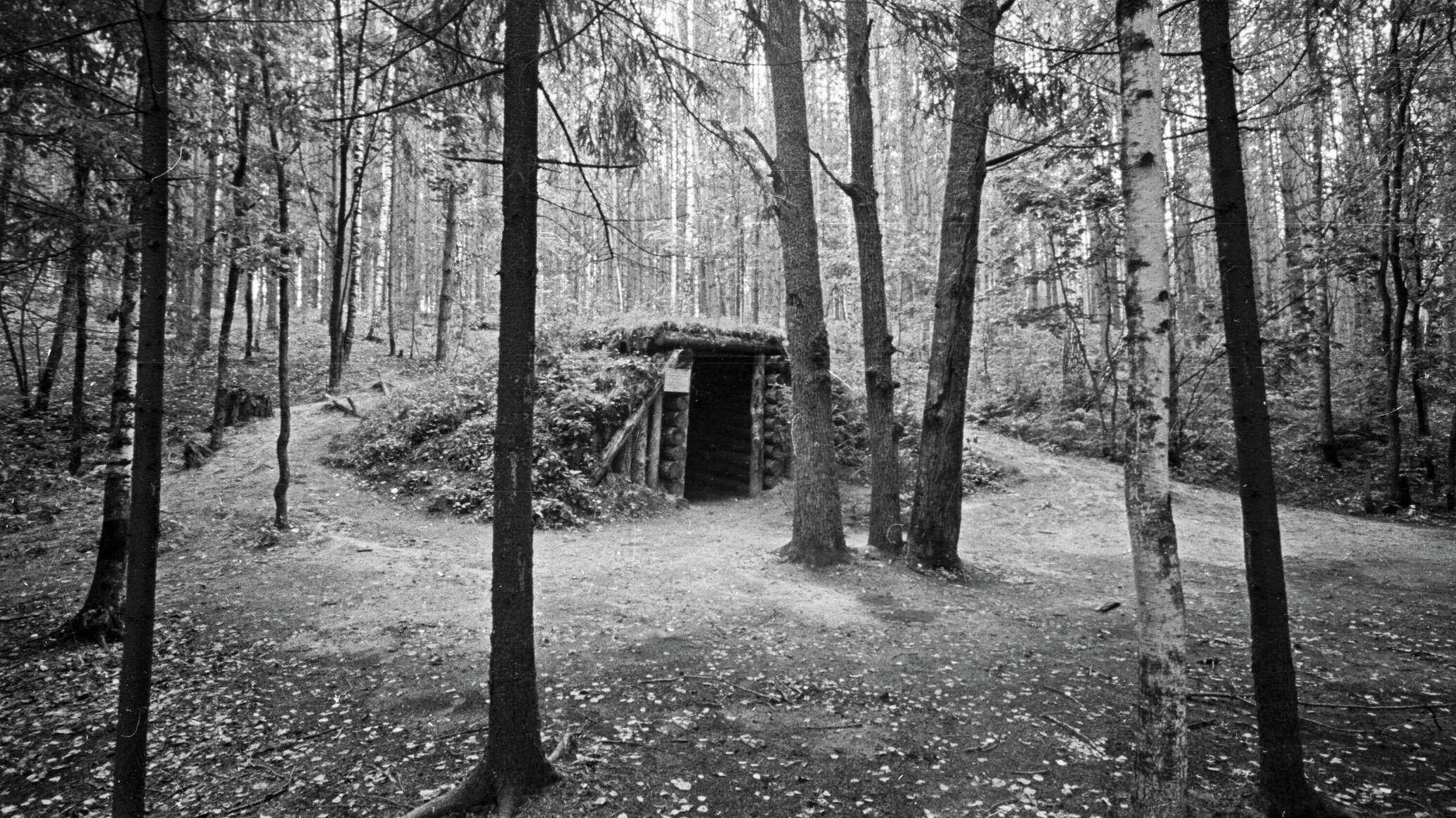 Дороги памяти: от партизанских землянок до монастырей Молдовы - 04.04.2026, Sputnik Молдова