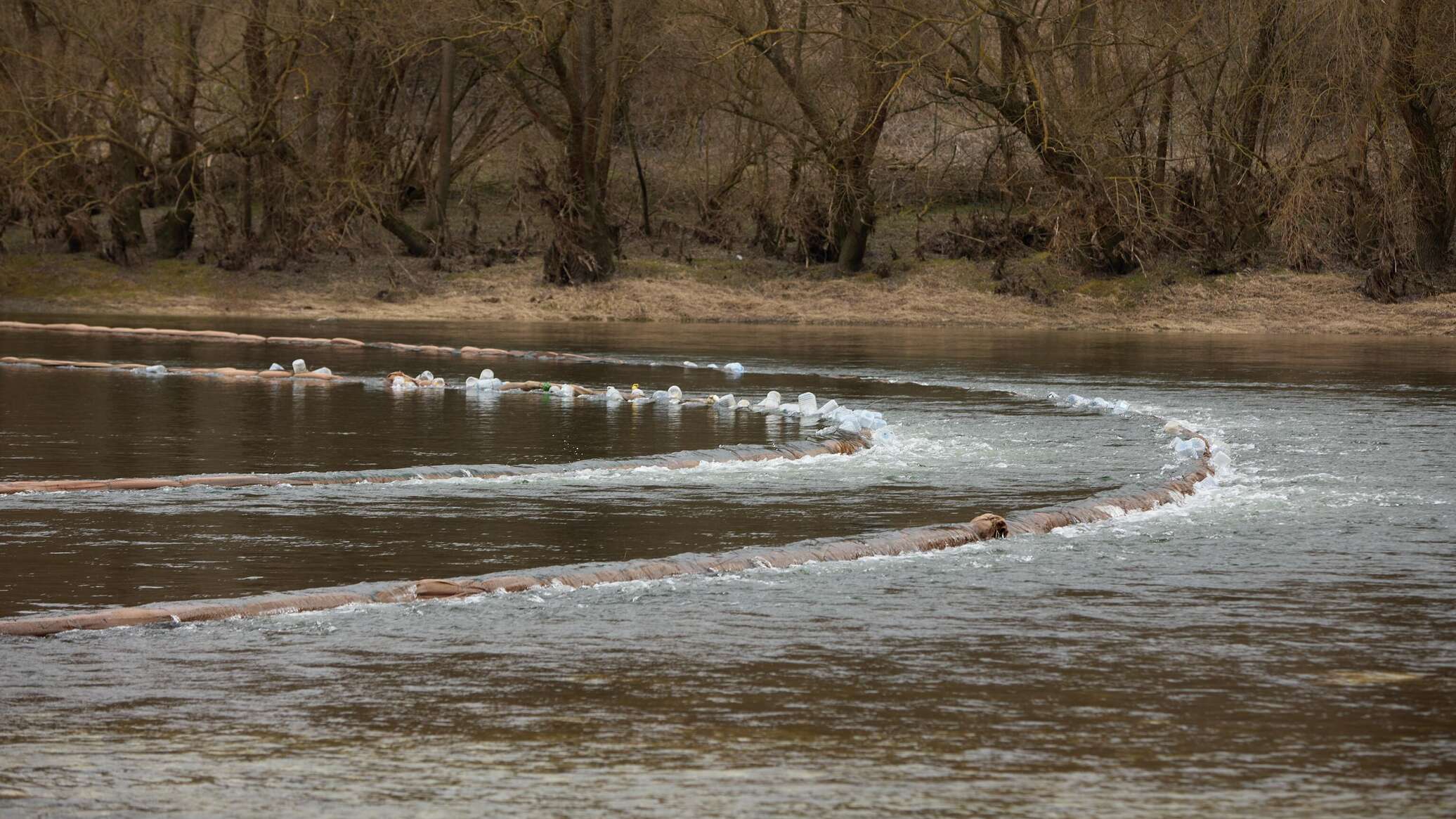 Специалисты из Тирасполя и Кишинева обсудили экологические проблемы Днестра 
