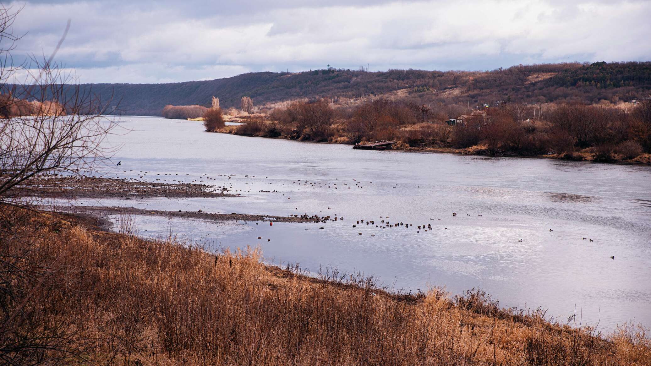 Уровень воды в Днестре упал до критического уровня 