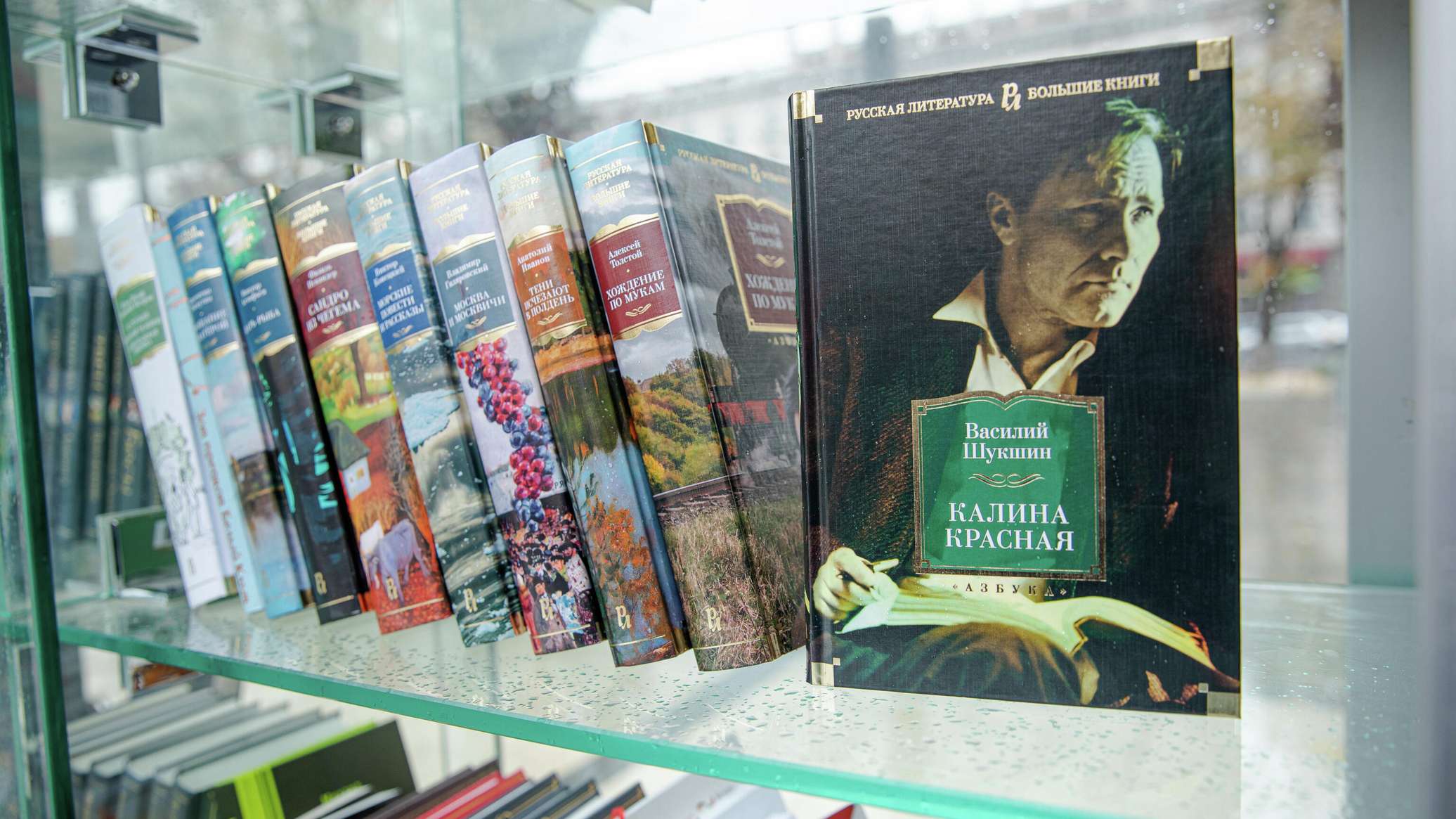 Парламент Молдовы одобрил денонсацию соглашения о распространении книг в рамках СНГ 