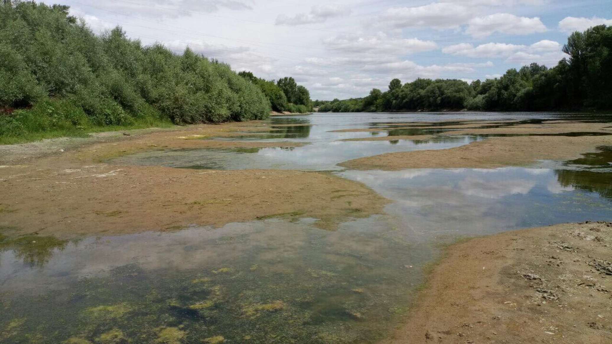 Уровень воды в Днестре достиг нового исторического минимума