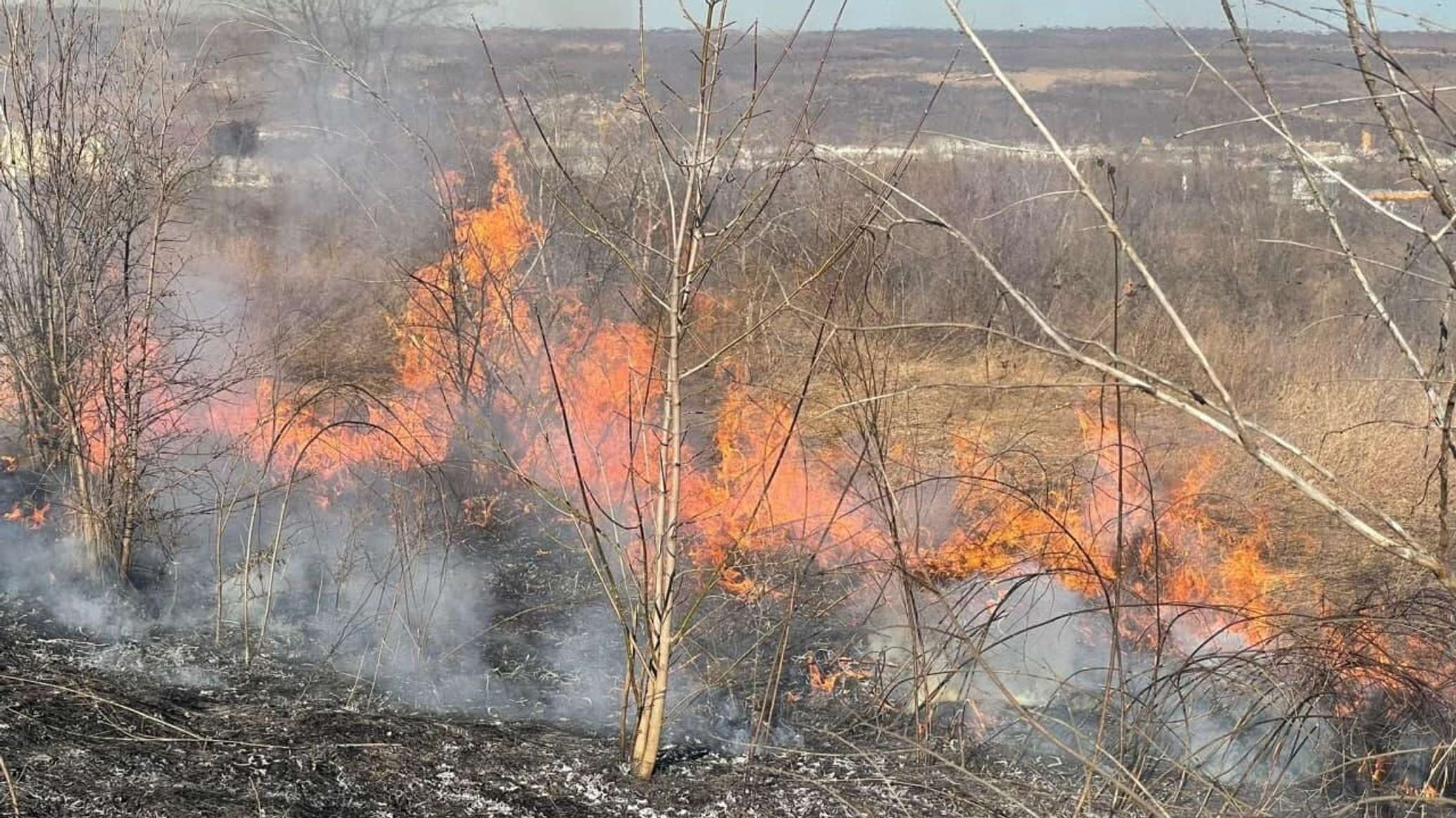 В Кишиневе вспыхнули пожары сухой растительности