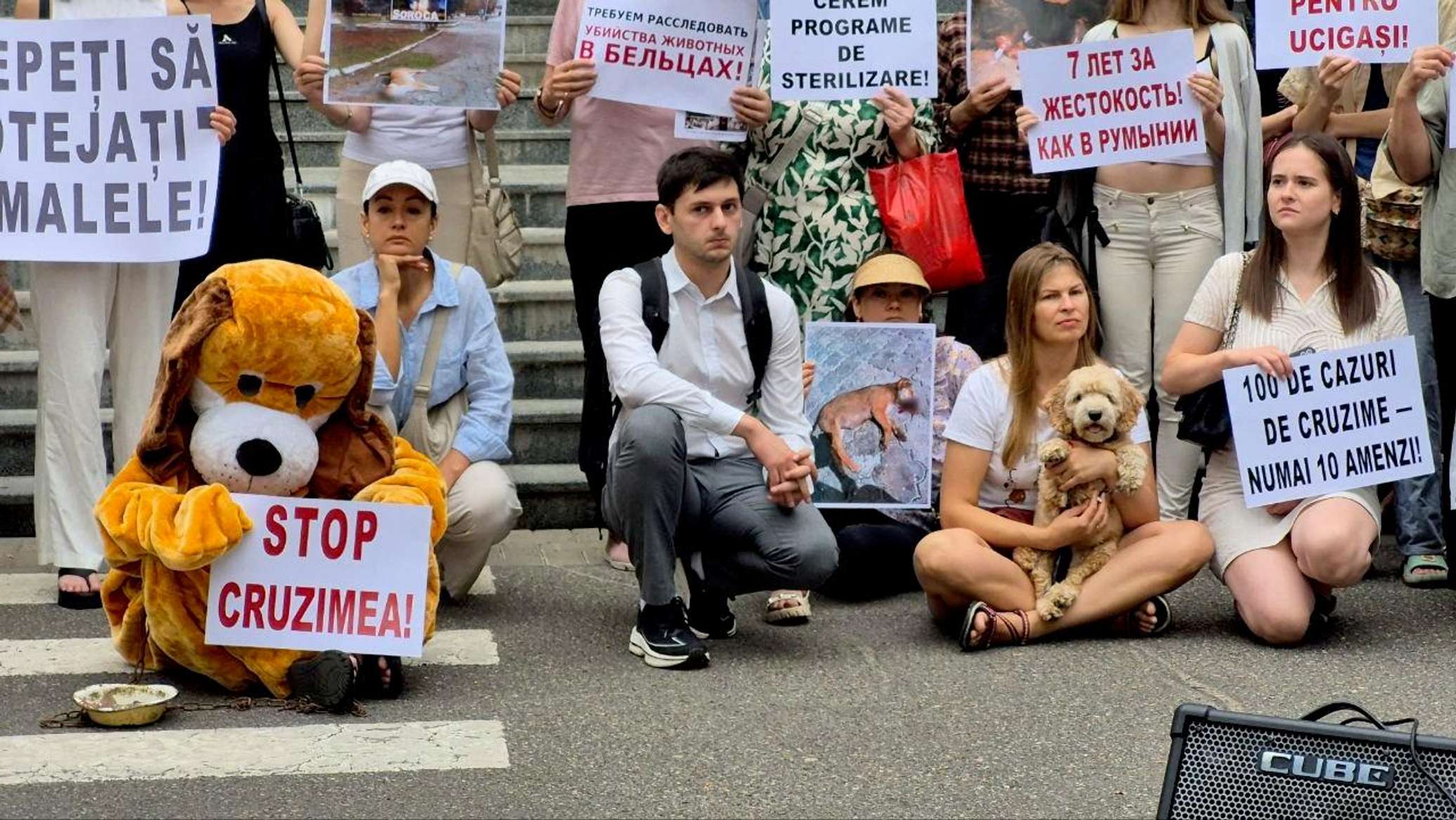 Зоозащитники вышли на акцию протеста у здания правительства в Кишиневе