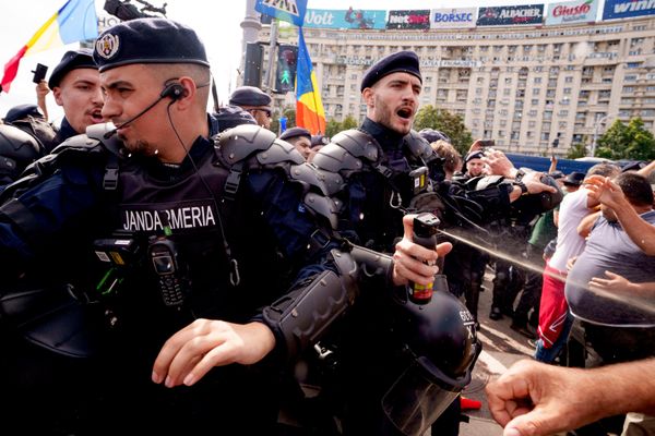 Румыния: запрет экспорта скота спровоцировал протесты и столкновения - 16.09.2026, Sputnik Молдова