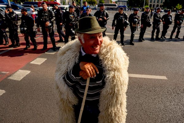 Румыния: запрет экспорта скота спровоцировал протесты и столкновения - 16.09.2026, Sputnik Молдова