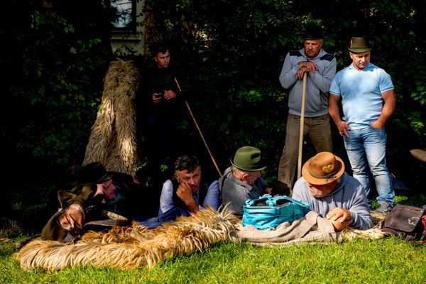 Румыния: запрет экспорта скота спровоцировал протесты и столкновения - 16.09.2026, Sputnik Молдова