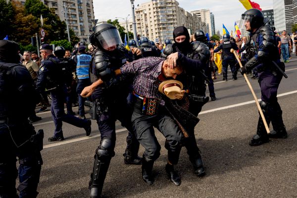Румыния: запрет экспорта скота спровоцировал протесты и столкновения - 16.09.2026, Sputnik Молдова