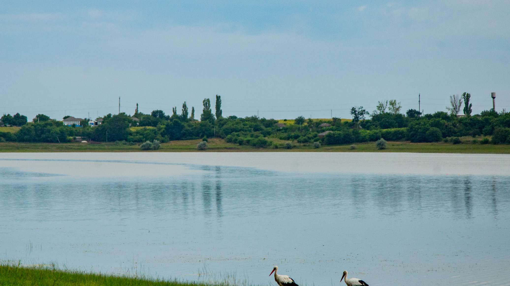 В ближайшие годы в Кишиневе могут построить новую станцию забора воды